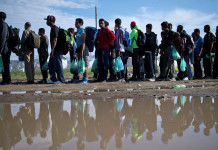 Stati Uniti : utilizzo di una strategia del caos controllato per l’ingegneria sociale in Europa immigrati