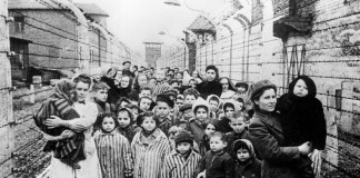 Campo di concentramento di Auschwitz – pensate di aver sentito tutto? Auschwitz era come ‘campo estivo’ per gli ebrei