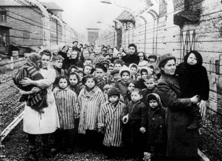 Campo di concentramento di Auschwitz – pensate di aver sentito tutto? Auschwitz era come ‘campo estivo’ per gli ebrei