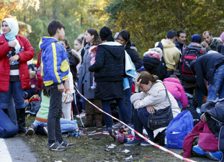 Germania : Report – Oltre l’80% dei richiedenti asilo non ha le qualifiche