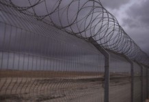 5 palestinesi muoiono in scontro con IDF lungo il confine Gaza