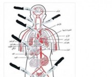 Campagna web palestinese per l’intifada jihadista