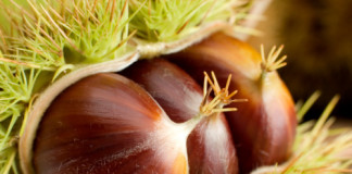 CASTAGNE : DEPRESSIONE , DEMENZA SENILE ,DISTURBI DELL’UMORE