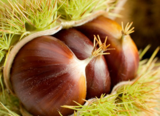 CASTAGNE : DEPRESSIONE , DEMENZA SENILE ,DISTURBI DELL’UMORE