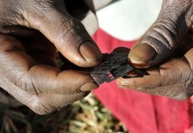 Mutilazioni genitali femminili – il controllo della sessualità