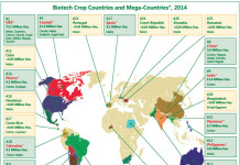 REPORT – Ttip: Europa teme alimentari OGM dagli USA