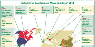 REPORT – Ttip: Europa teme alimentari OGM dagli USA