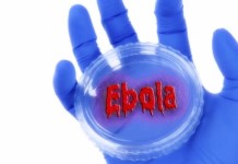 Ebola : l’epidemia continua ad essere una minaccia globale