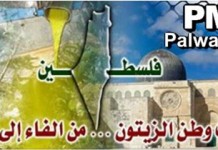 Tutto Israele è “Palestina” occupata