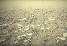 VIDEO – ARABIA SAUDITA : Pioggia e Ghiaccio nel Deserto