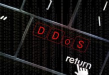 2016 – Crescerà la minaccia DDoS per la Cyber Security