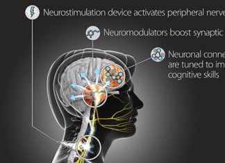 DARPA : Hacking Cervello Possibile