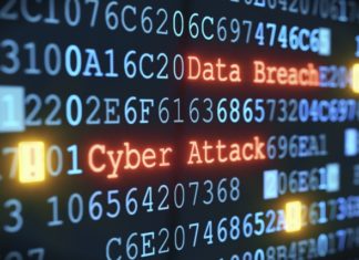 Ukrainian Hacker Hacks Polish Telecom Giant Netia
