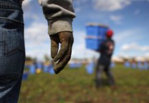 Lavoratori palestinesi in Israele e nell’Autorità Palestinese
