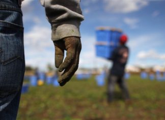 Lavoratori palestinesi in Israele e nell’Autorità Palestinese