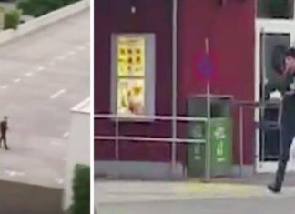 Munich Shooter Invited People to McDonald’s using hacked Facebook account