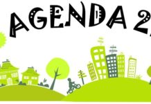 AGENDA 21 : visions and actions for a sustainable future