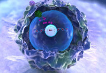 Store Complex Data in DNA of human cells
