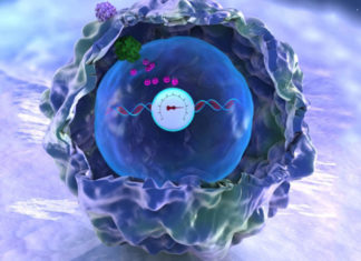 Store Complex Data in DNA of human cells
