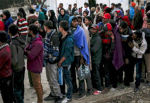 Switzerland : Up to 40% of asylum seekers DISAPPEAR