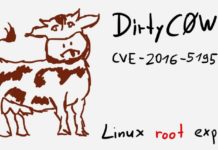 Dirty COW – the most dangerous Linux Bug for the last 9 years