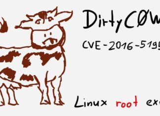 Dirty COW – the most dangerous Linux Bug for the last 9 years