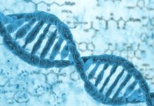 Russia – Japan : Study How Radiation Affects the Next Generation’s DNA