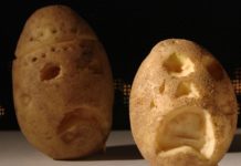 US Department of Agriculture has given its seal of approval to two new strains of genetically engineered potatoes.