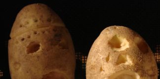 US Department of Agriculture has given its seal of approval to two new strains of genetically engineered potatoes.