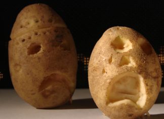 US Department of Agriculture has given its seal of approval to two new strains of genetically engineered potatoes.