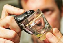 Danish Universal Antidote Renders Snake Bites Harmless