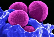 Drug-resistant bacteria brewing to become a ‘superbug’ for children