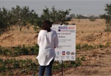 Wadis-Mar: un progetto per combattere la desertificazione
