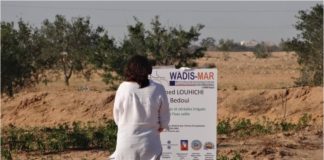 Wadis-Mar: un progetto per combattere la desertificazione