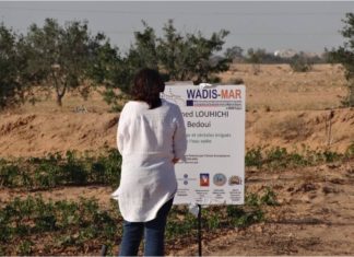 Wadis-Mar: un progetto per combattere la desertificazione