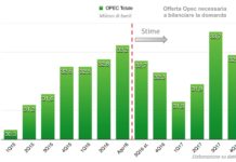 OPEC : NECESSARIA DIVERSIFICAZIONE ECONOMICA