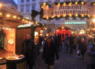 Refugee Arrested in Austria for Planning Christmas Attack