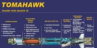 Tomahawk Cruise Missiles to Become Dual-Mission