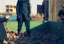 VIDEO : Children, pulled away from an amusement park, execute ISIS prisoners by shooting and beheading