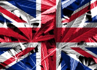 Cannabis medicine will soon be legally available in UK