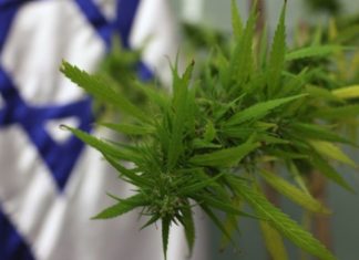 REPORT :Philip Morris investment in Syqe was 2nd-largest 2016 cannabis deal