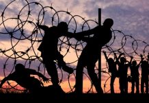 REPORT : Global Refugee Crisis
