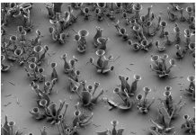 Sculpting optical microstructures with slight changes in chemistry