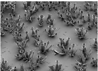 Sculpting optical microstructures with slight changes in chemistry