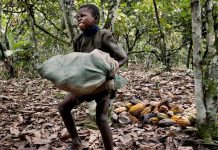 Togo and Benin : The return of a child slave