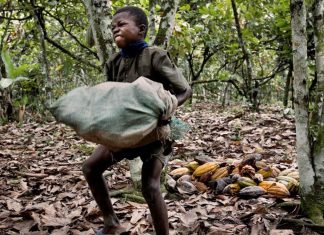 Togo and Benin : The return of a child slave