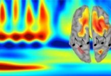Improving memory with magnets