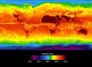 Earth’s worst-ever mass extinction of life holds ‘apocalyptic’ warning about climate change, say scientists