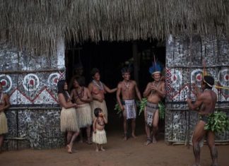 Indigenous South American group has healthiest arteries of all populations yet studied, providing clues to healthy lifestyle