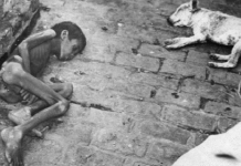 Famine : Largest humanitarian crisis in history of UN